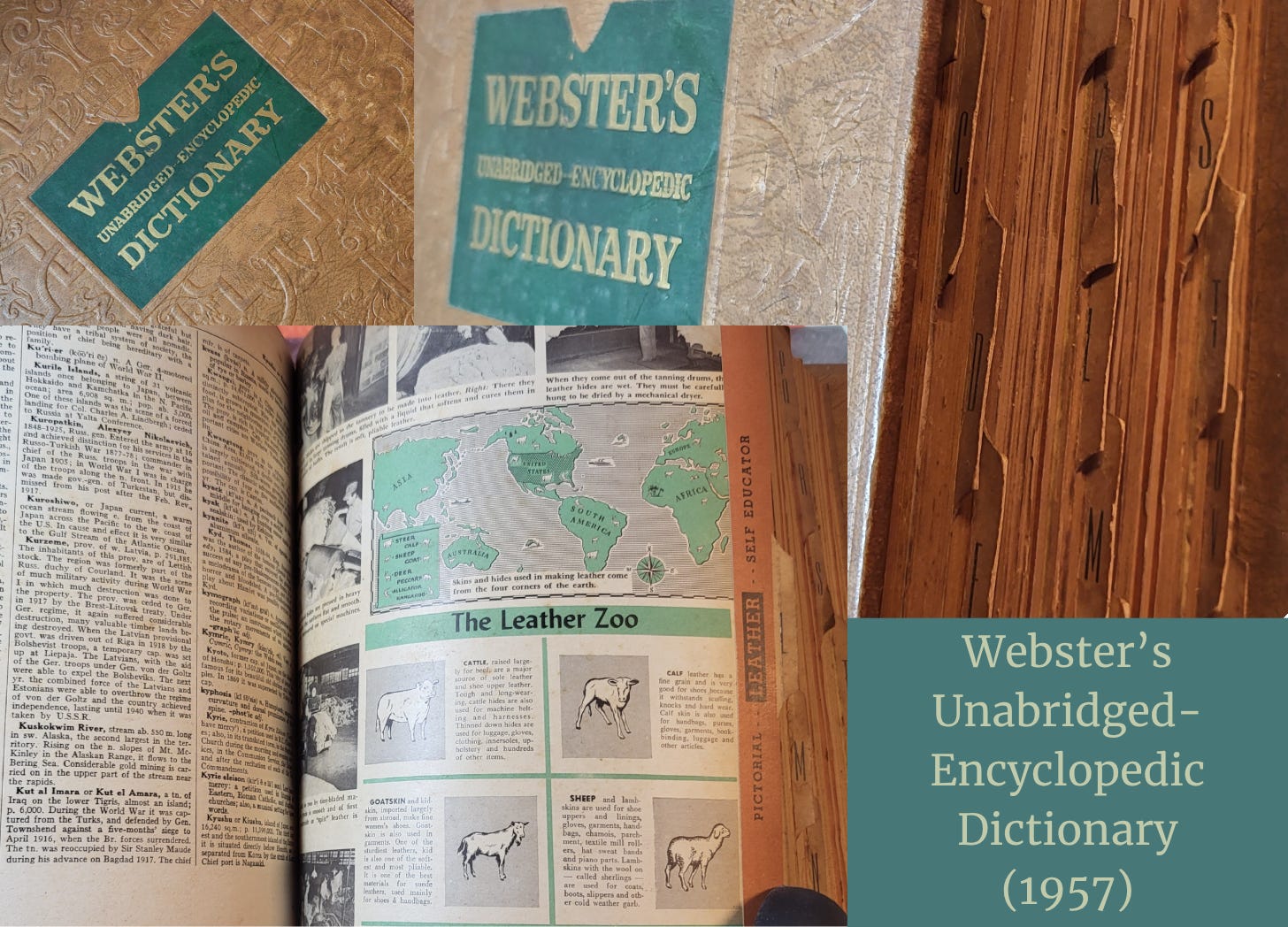 A collage featuring close-ups of a 1957 Webster’s Unabridged-Encyclopedic Dictionary. The textured gold cover displays a green label, and the inner pages show richly illustrated content including a map titled “The Leather Zoo,” tabbed index pages with alphabet cutouts, and fine-print entries. The overall aesthetic blends tactile beauty, historical charm, and intellectual curiosity. A collage featuring close-ups of a 1957 Webster’s Unabridged-Encyclopedic Dictionary. The textured gold cover displays a green label, and the inner pages show richly illustrated content including a map titled “The Leather Zoo,” tabbed index pages with alphabet cutouts, and fine-print entries. The overall aesthetic blends tactile beauty, historical charm, and intellectual curiosity.