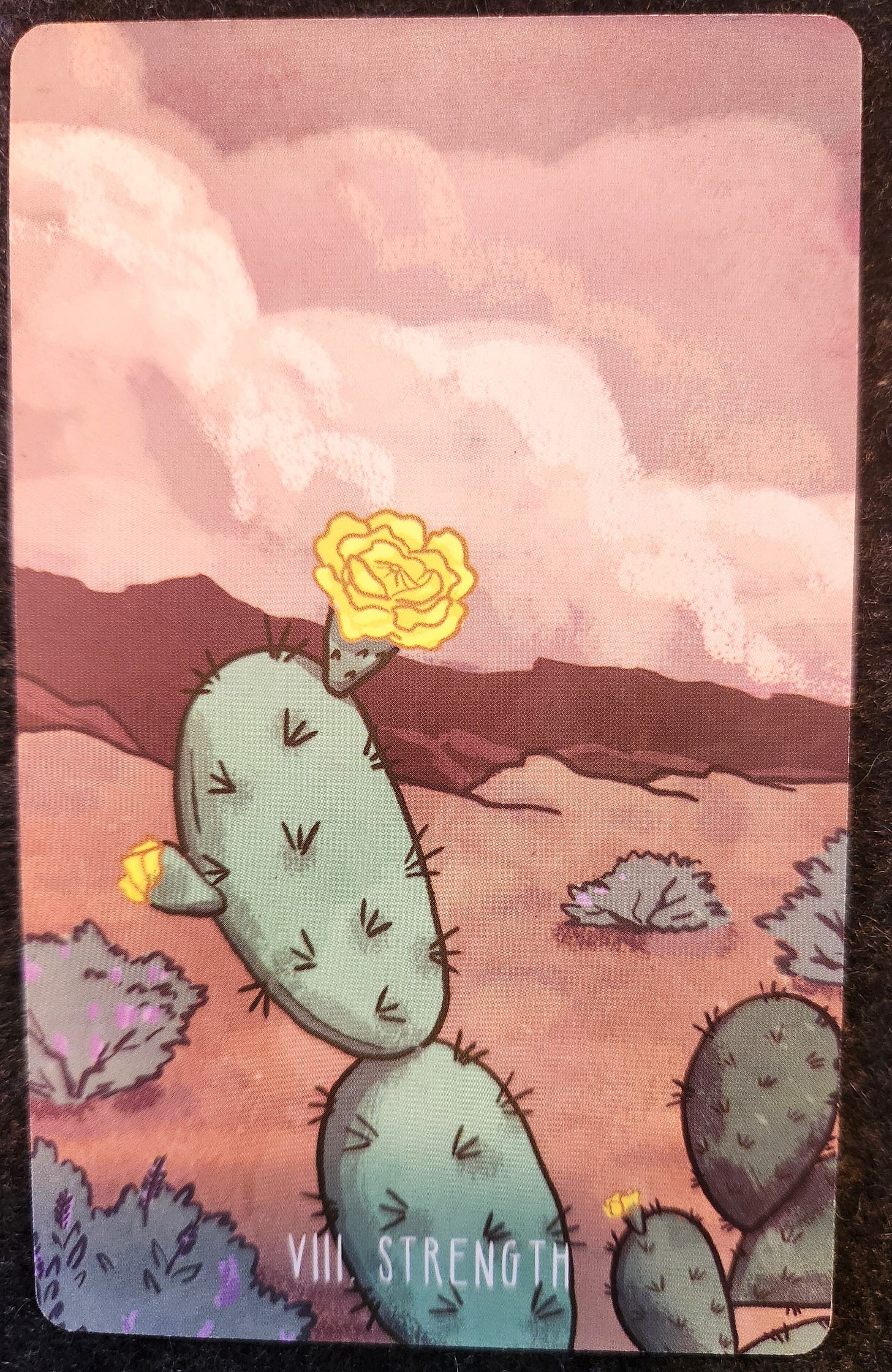 A tarot card labelled VIII Strength. A large Opuntia cactus (a cactus with multiple connected pads) is growing in a desert. Other bushes and cacti are scattered on the desert floor around it. The ground is dark sand. The sky is white clouds. The Opuntia has one large yellow flower in full bloom and one small yellow flower that appears like it is about to bloom. 