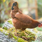 Breadth vs. Depth - Why Breadth is Key for Career Success