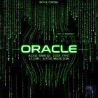 Oracle: The Riskiest Bet in the AI Build-Out