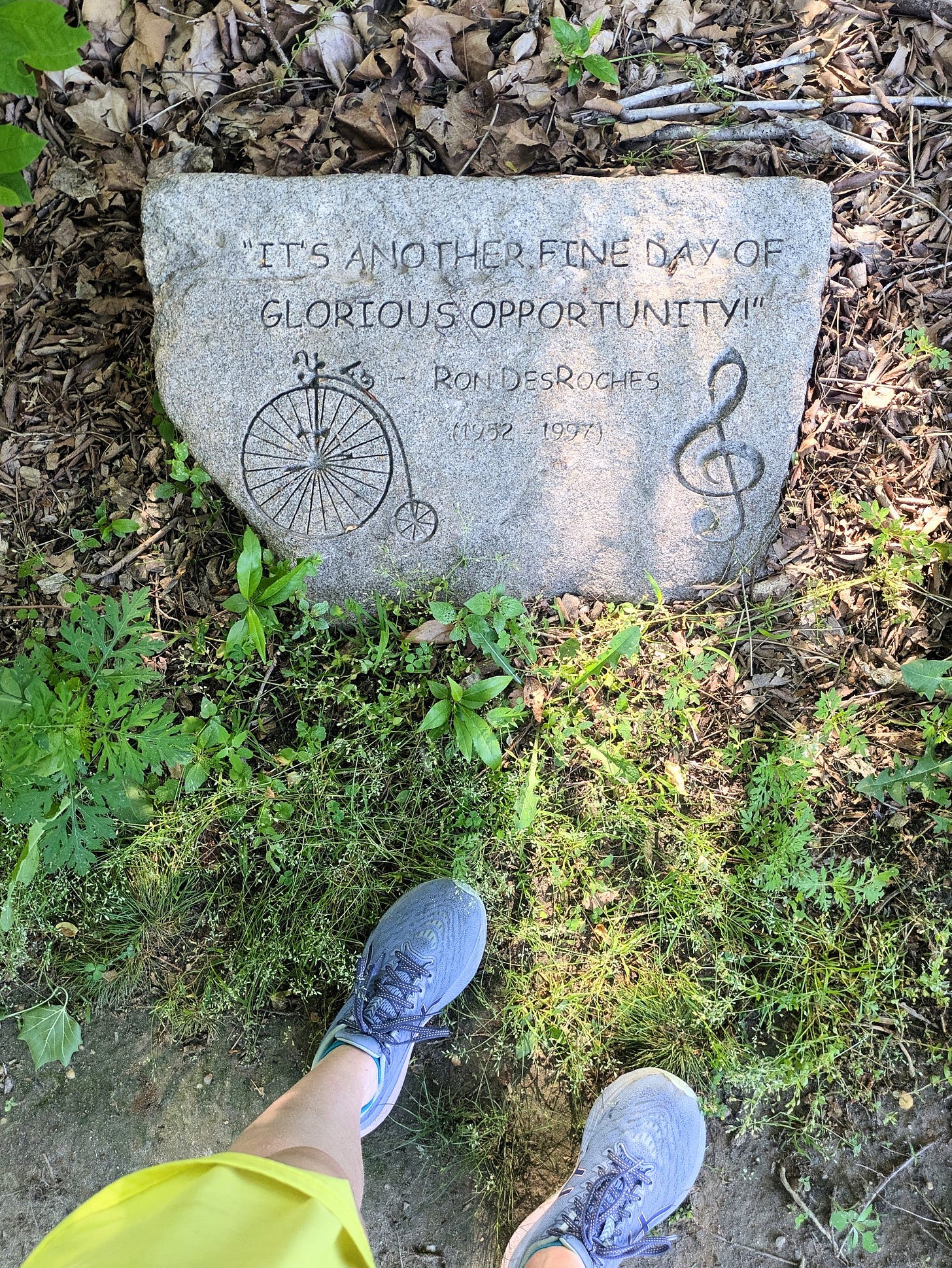 "Another fine day of glorious opportunity!" written on a stone at my local park "Another fine day of glorious opportunity!" written on a stone at my local park
