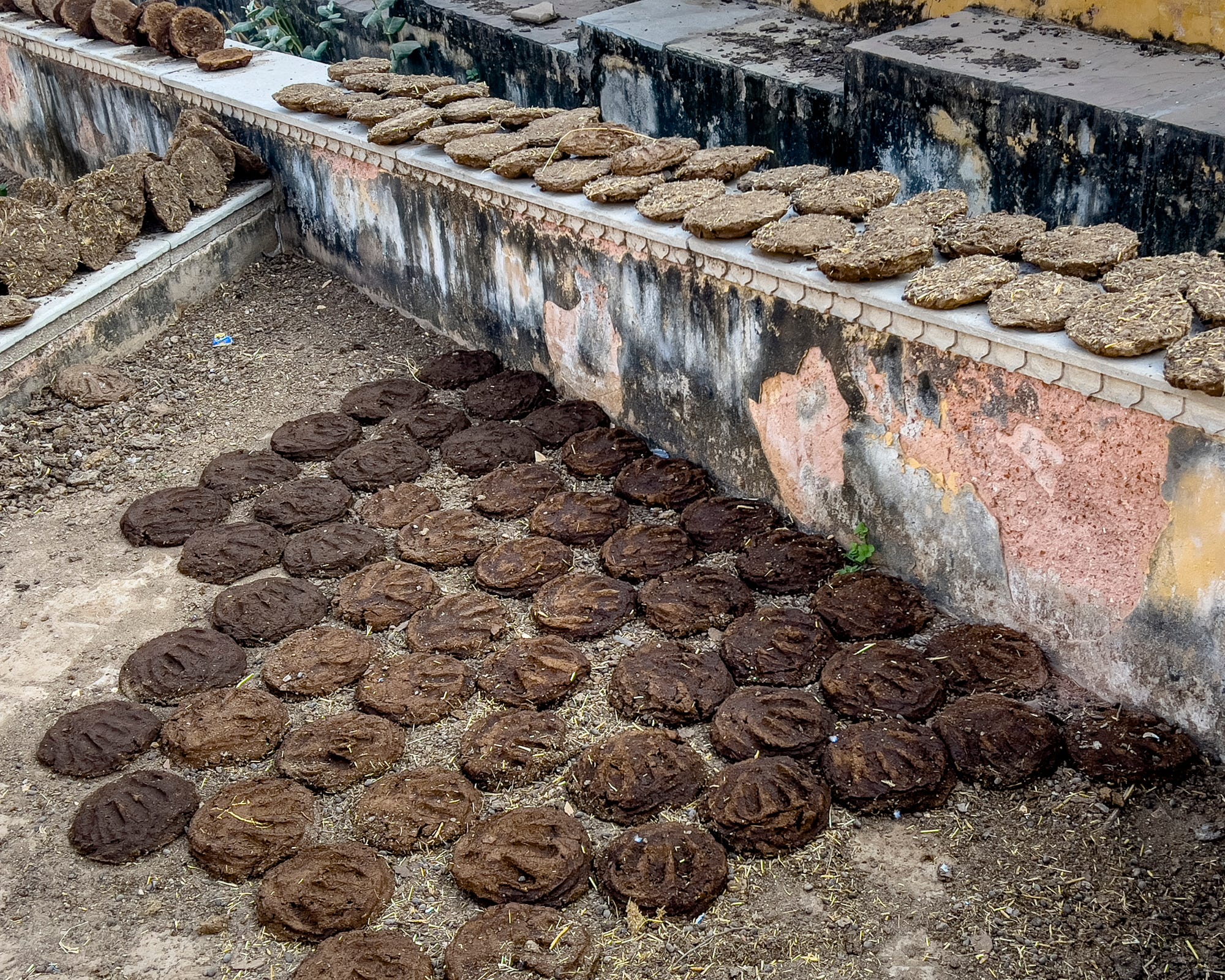 Dung, Mud & Dye