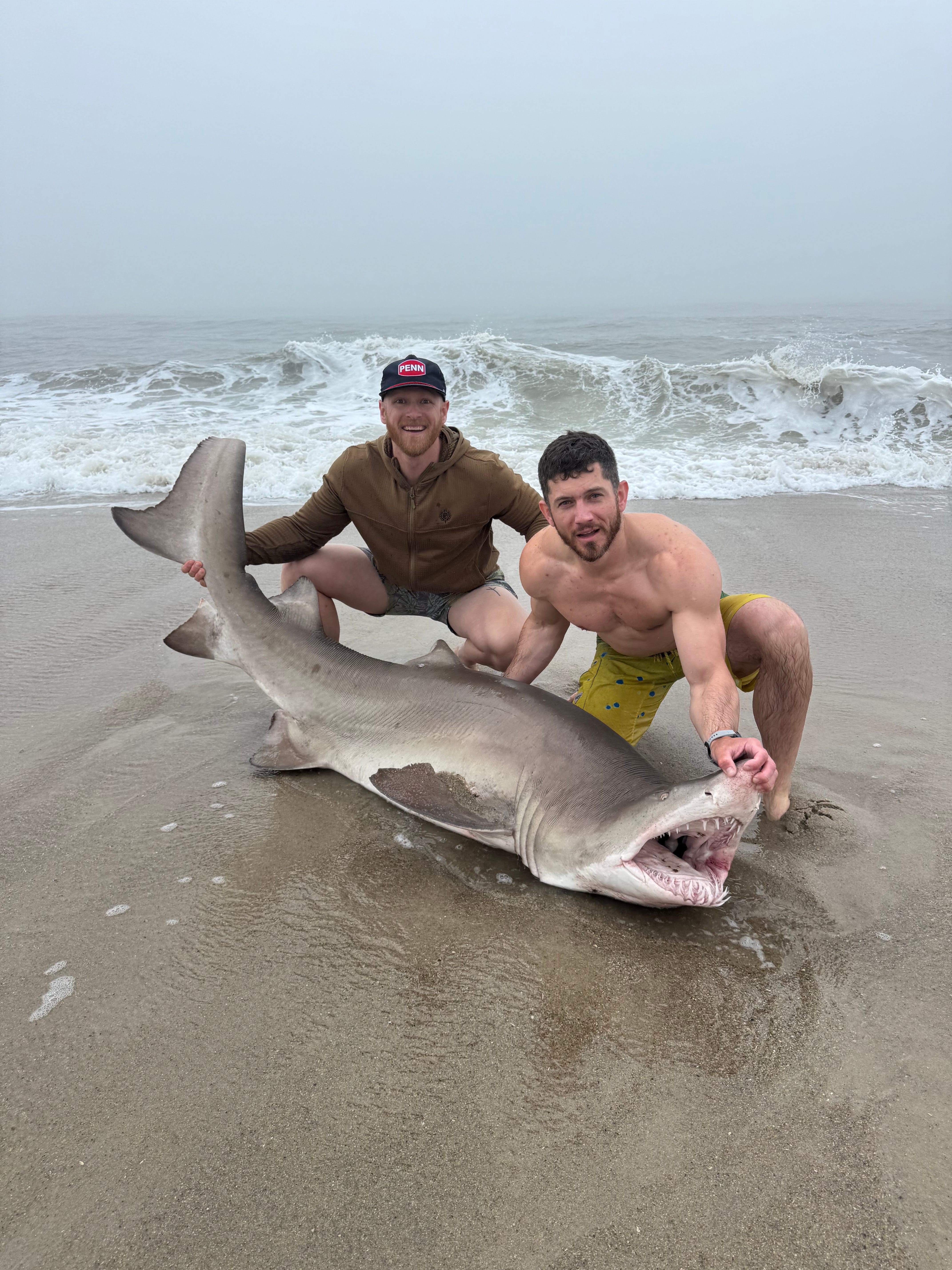 Dispatch 3: Find the Good, No Matter What, No Matter Where(Especially With Sand Tigers)