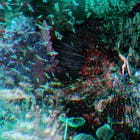 The Three Battlegrounds: Bridge Security, Capital Resistance, and Authority Enforcement