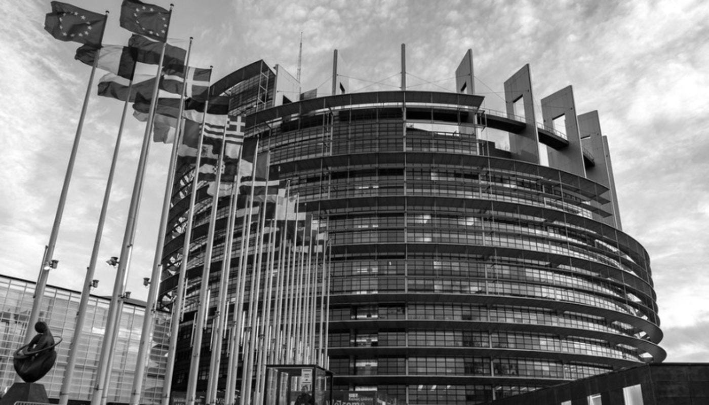 GeoLog | GeoPolicy: Life inside the European Parliament – an assistant's  view