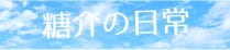 糖介