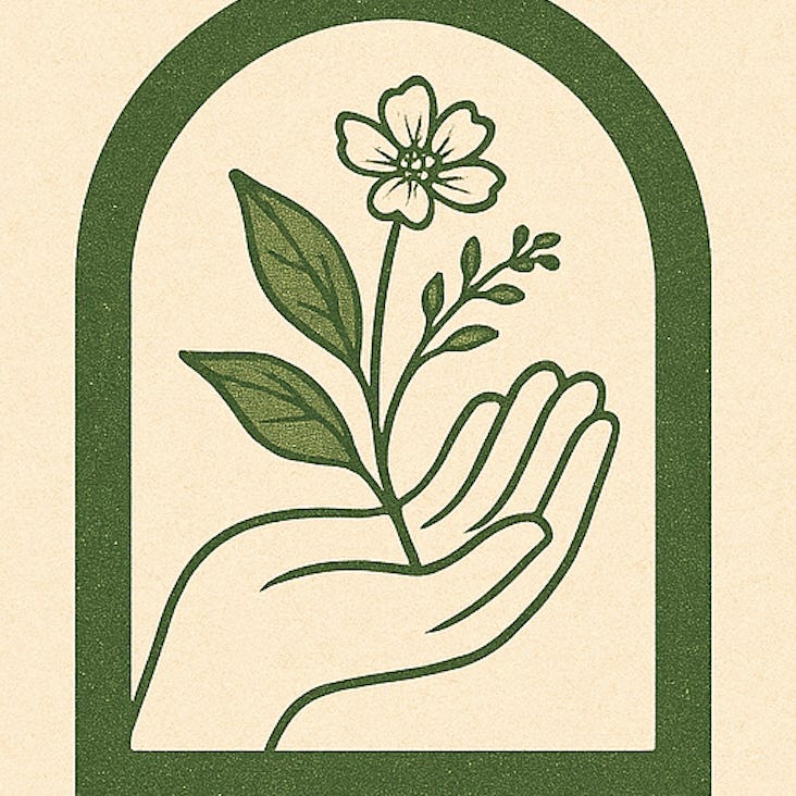 Cloister Notes with Dr. Almut Furchert