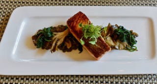 King Salmon CU King Salmon CU