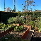 how I plan my fall garden step-by-step