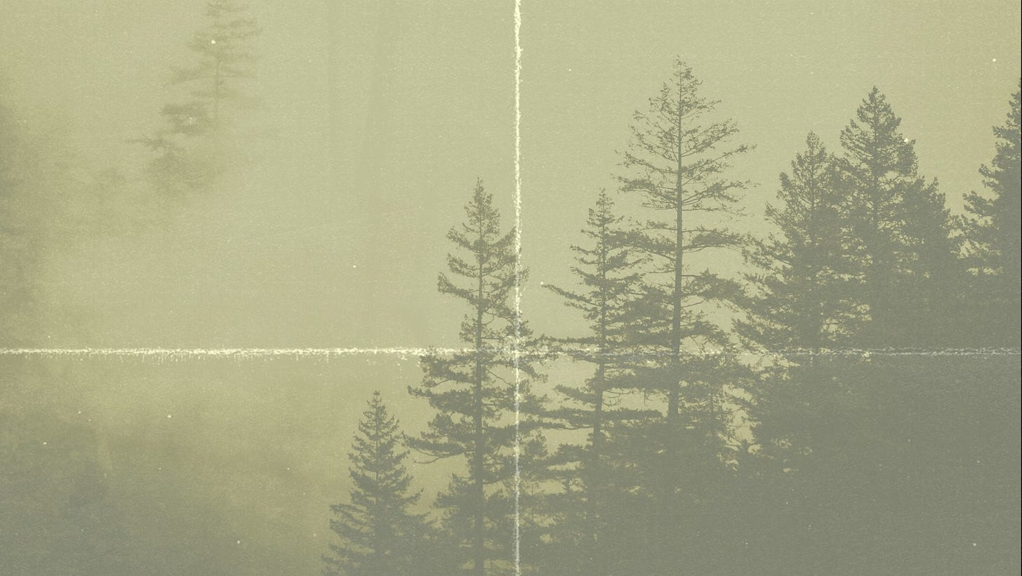 Nenhuma descrição de foto disponível.