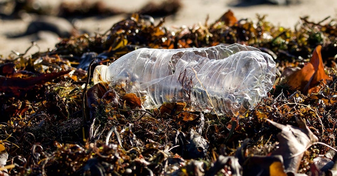 a plastic bottle sitting on top of a patch of grass a plastic bottle sitting on top of a patch of grass