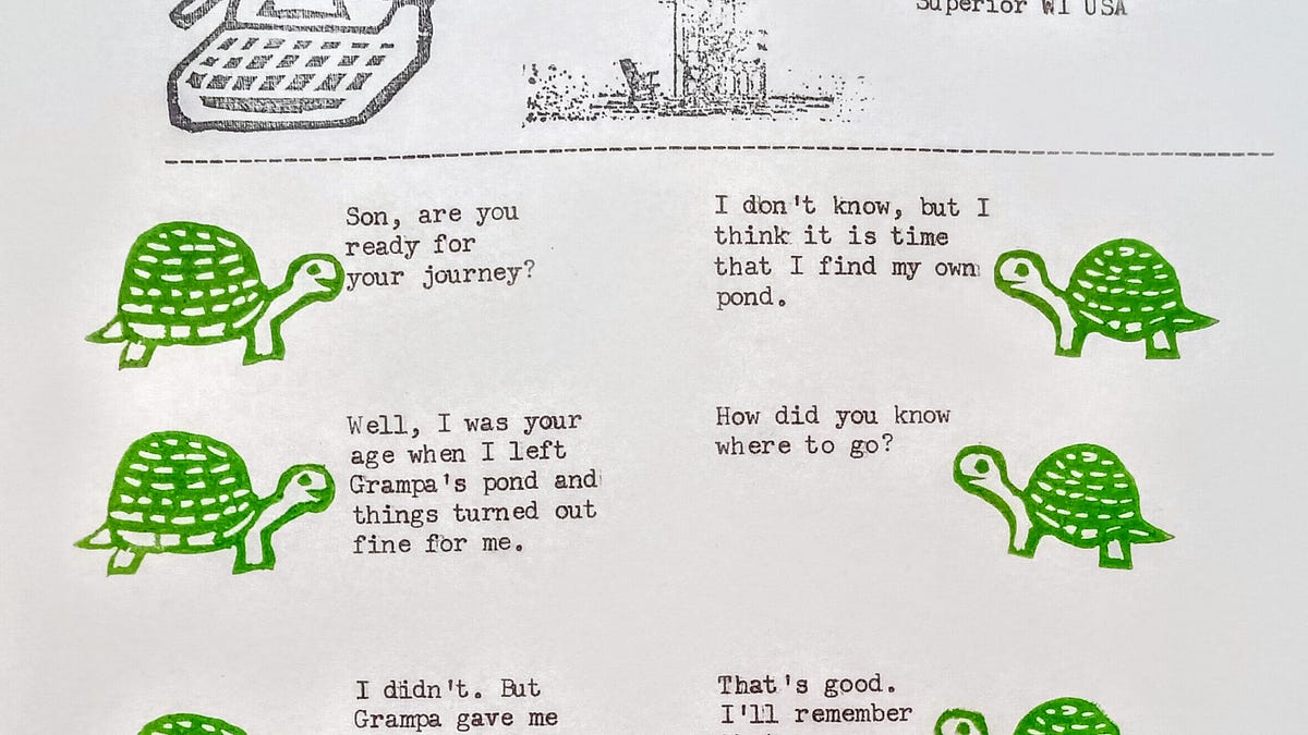 Generational Turtle Wisdom - by Kent Peterson