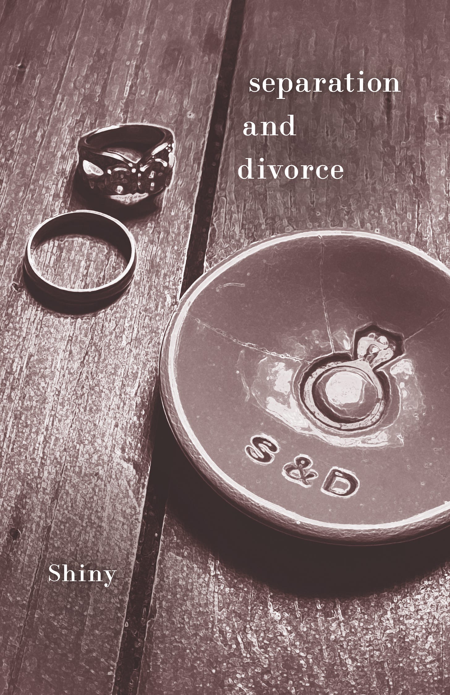 Separation and Divorce - the book