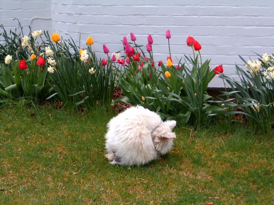 No photo description available.