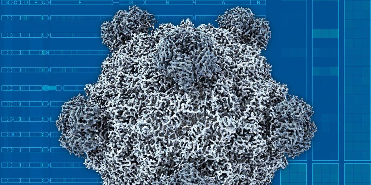 Cryo-electron microscopy density map of an AI-designed bacteriophage Cryo-electron microscopy density map of an AI-designed bacteriophage