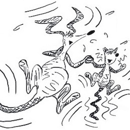 The Amazing Zoot & Algy 