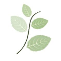 Compassion & Change in Education