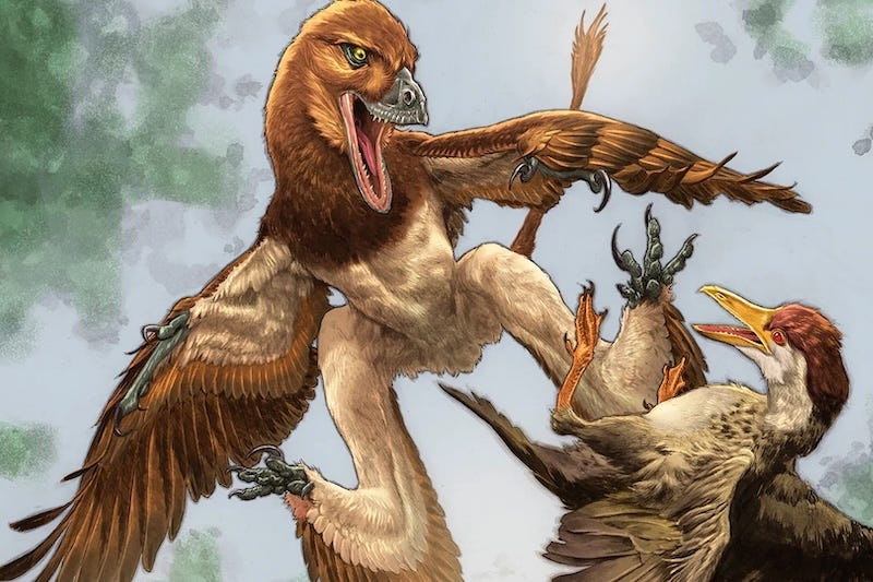 Illustration depicting *Jian changmaensis* (left) attacking the bird *Gansus yumenensis* (right) in the Changma Basin of northwestern China, approximately 120 million years ago. Credit: Illustration by Lewis LaRosa, colorized by Jão Canola. Illustration depicting *Jian changmaensis* (left) attacking the bird *Gansus yumenensis* (right) in the Changma Basin of northwestern China, approximately 120 million years ago. Credit: Illustration by Lewis LaRosa, colorized by Jão Canola.