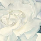 History of the Color White