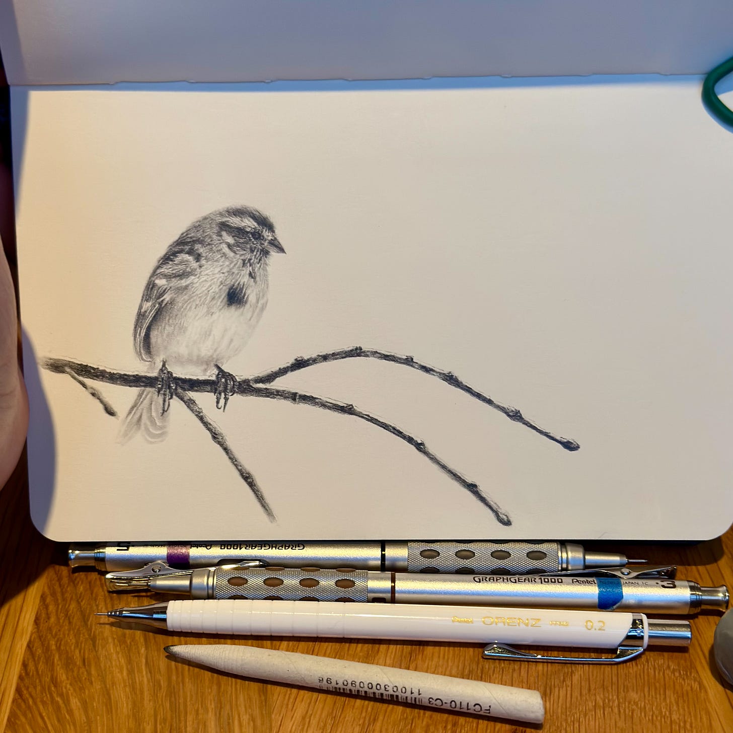 A sparrow on a branch sketch in a small sketchbook with pencils and blenders laying before it.