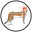 BowTiedCheetah's avatar