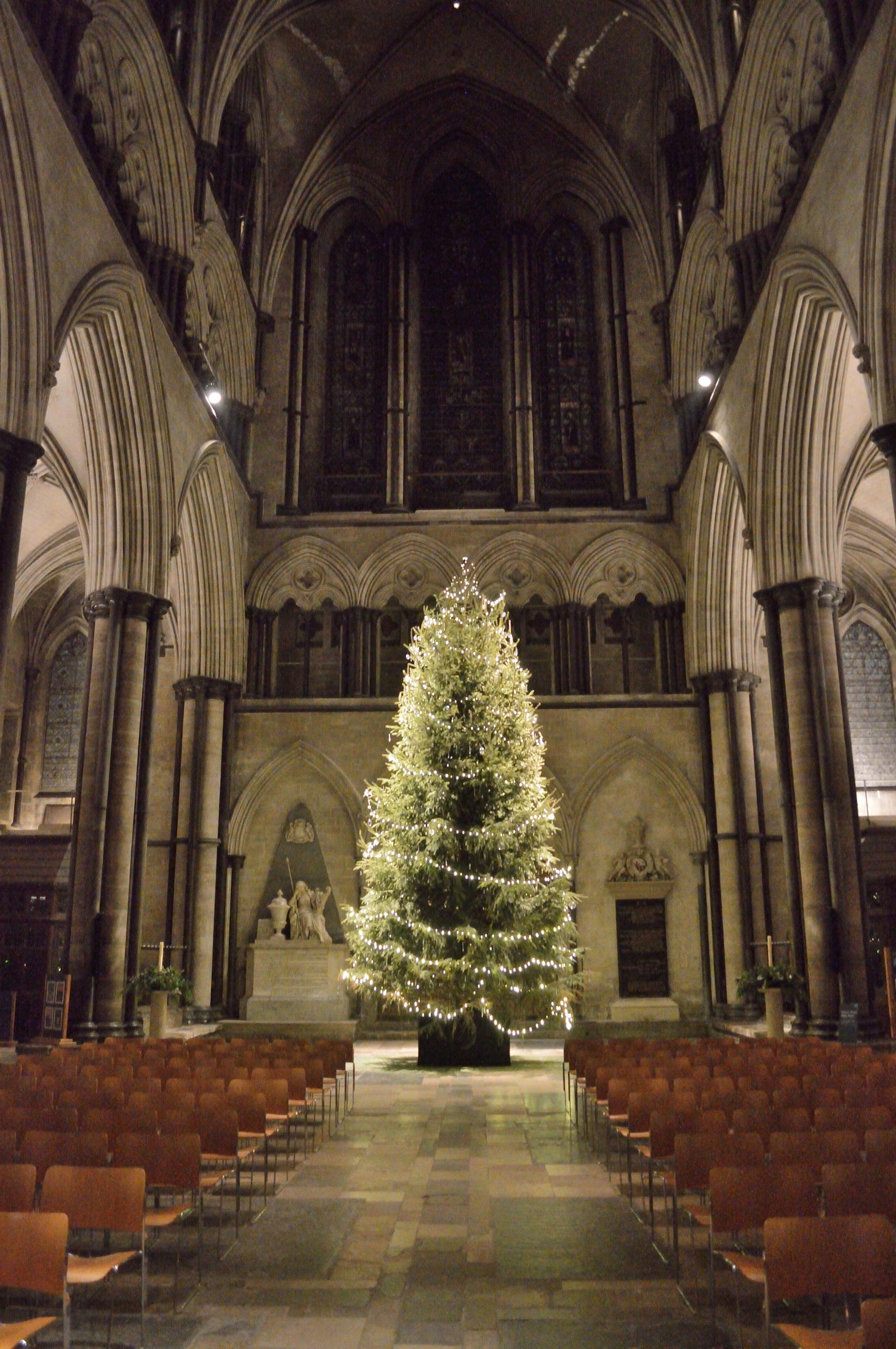 File:Salisbury Cathedral, 2016 christmas tree.jpg - Wikimedia Commons