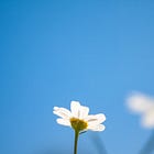 Simplicity: Less Rush, More Presence