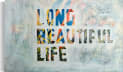 Long Beautiful Life