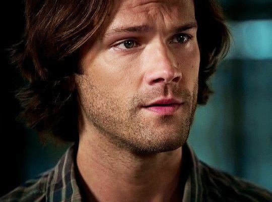 supernatural 1203 foundry sam winchester puppy look