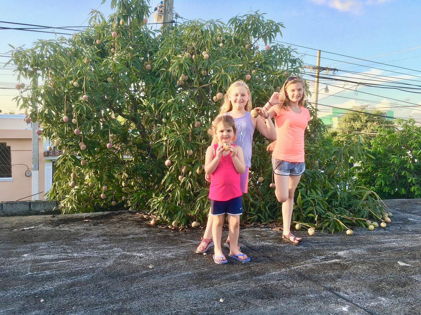 IMG_2491.jpg IMG_2491.jpg