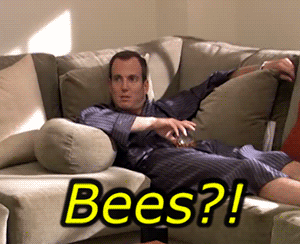 bees gifs Page 3 | WiffleGif bees gifs Page 3 | WiffleGif