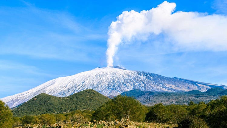 Producers in the Etna DOC grow vines on the slopes of Mount Etna