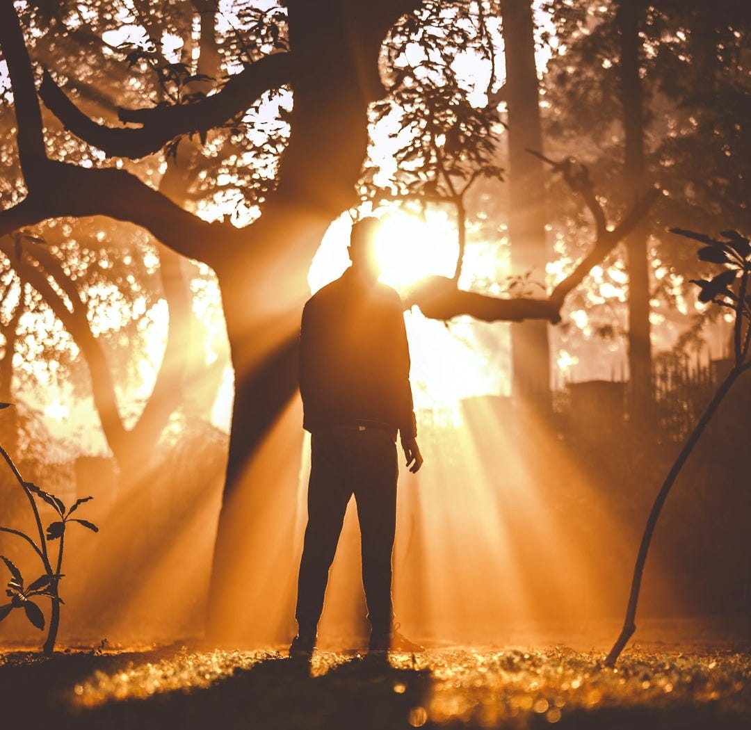 man standing near tree man standing near tree