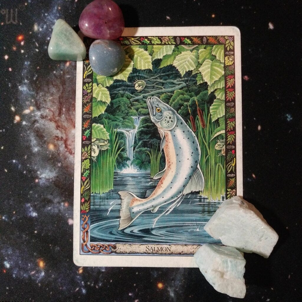 A Message from the Universe - Salmon