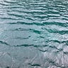 Mariculture Minute