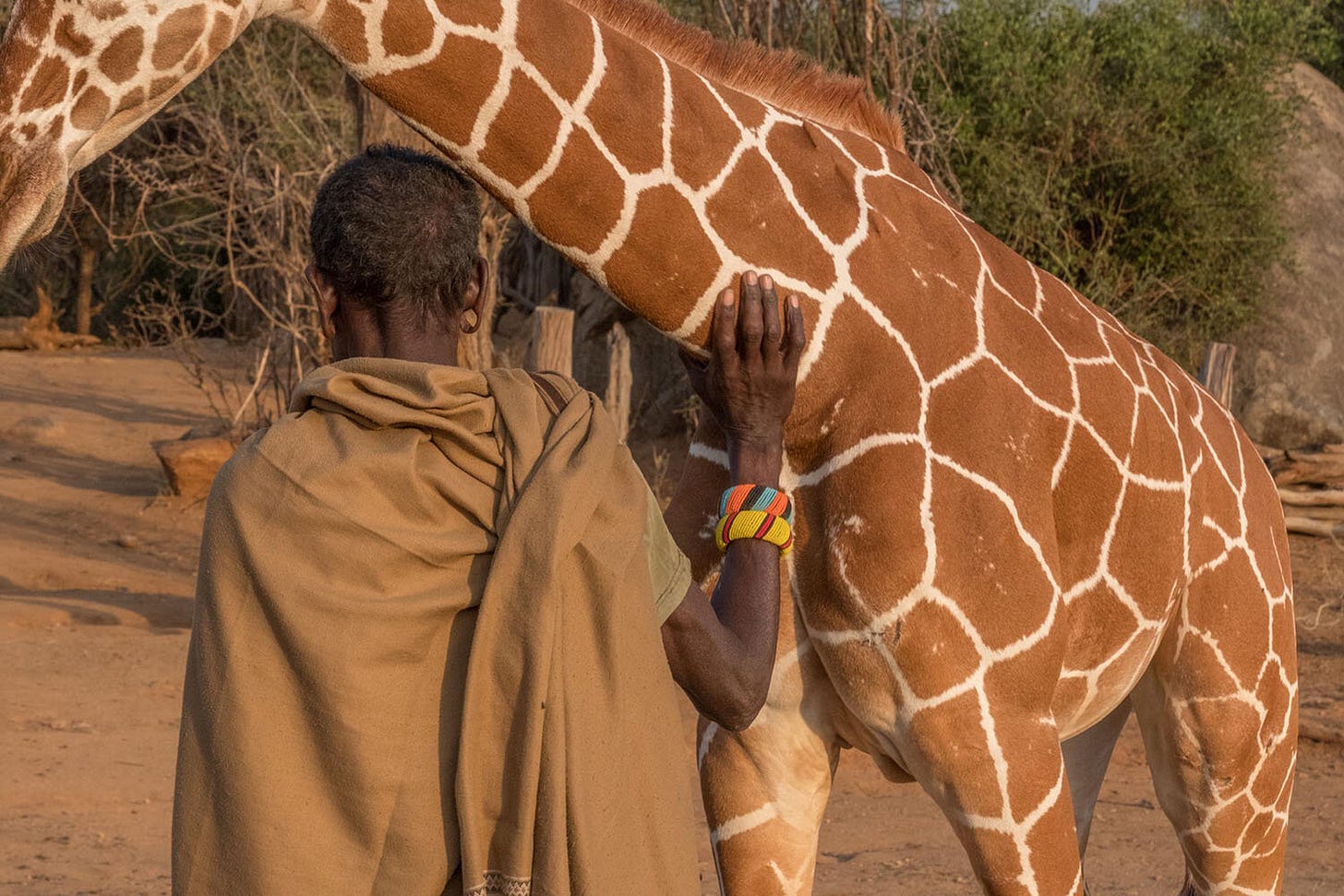 Kathy-Karn-For-the-Love-of-Giraffes-11.jpg