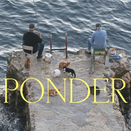 Ponder