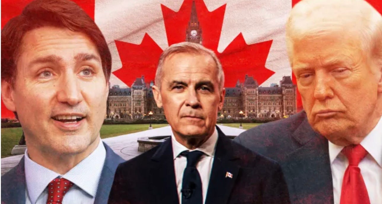 Maple leaf high ground