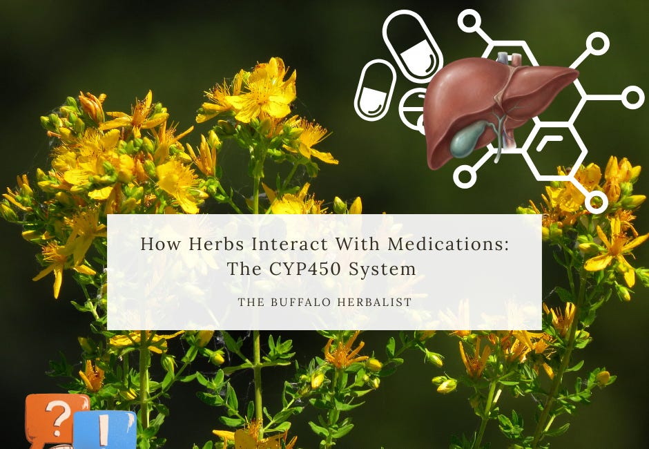 How Herbs Interact With Medications: The CYP450 System 