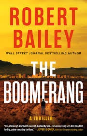 Amazon.com: The Boomerang: A Thriller ...