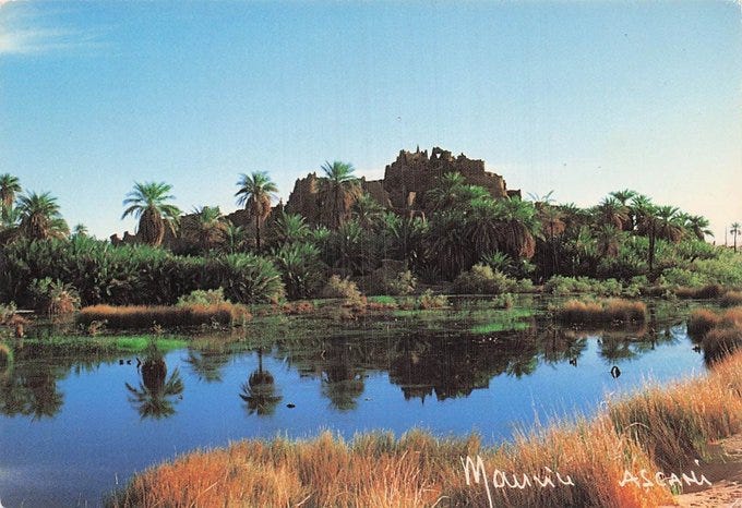 A serene landscape with a palm grove and an ancient ksar, or fortified village, of Djado, Niger. Tall palm trees surround a calm body of water reflecting the greenery and structures. The ksar, made of stone, sits atop a hill, blending with the natural surroundings. Grassy areas border the water, under a clear blue sky.