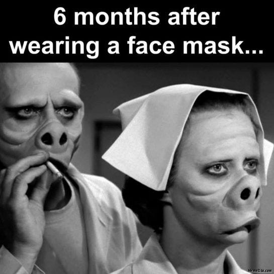 50+ Funniest Face Mask Memes On The Internet You Should Not Miss 50+ Funniest Face Mask Memes On The Internet You Should Not Miss