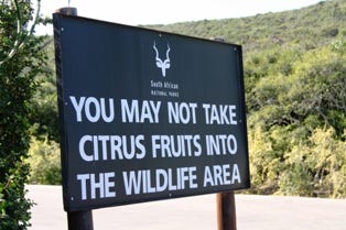 No citrus sign No citrus sign