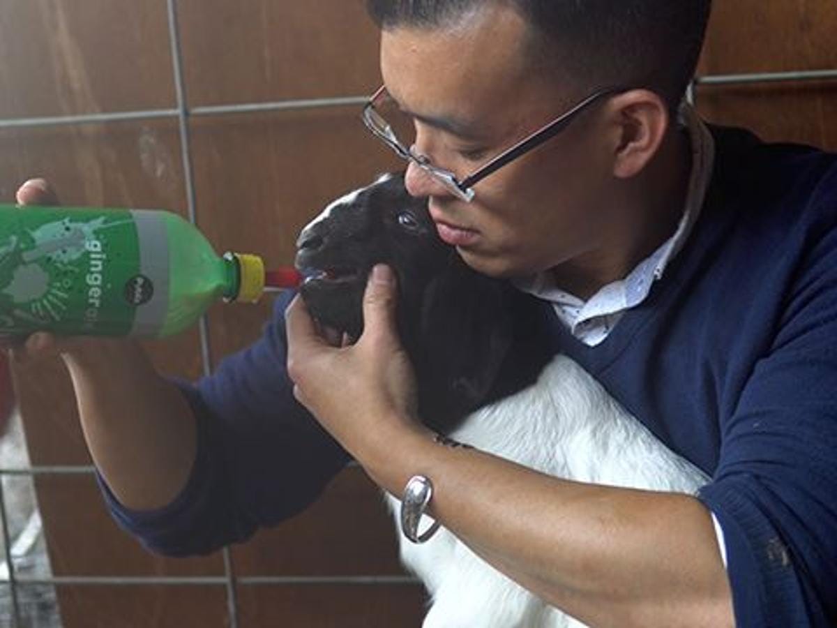 Lawyer facing felony charges says it&#39;s because he rescued sick baby goat  from NC meat farm | News | foxcarolina.com