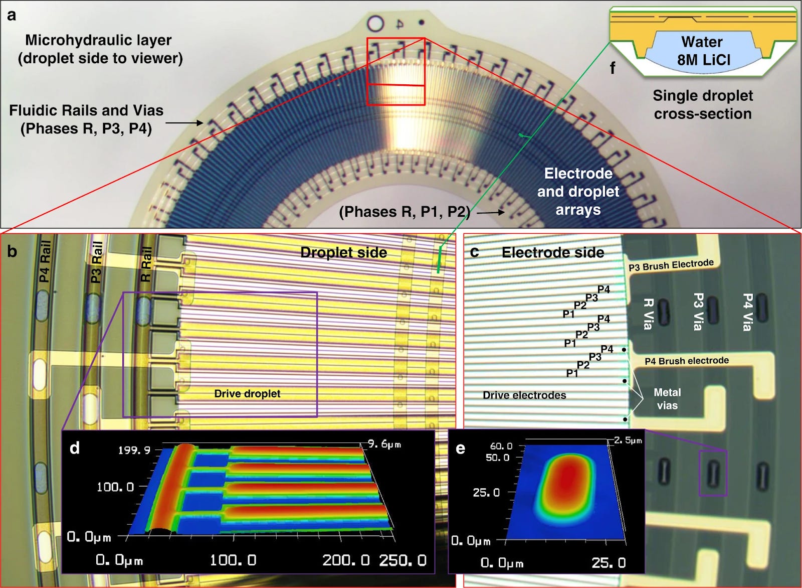 ⚡ The Analog #101: Waveguides in Meta's Orion AR Glasses