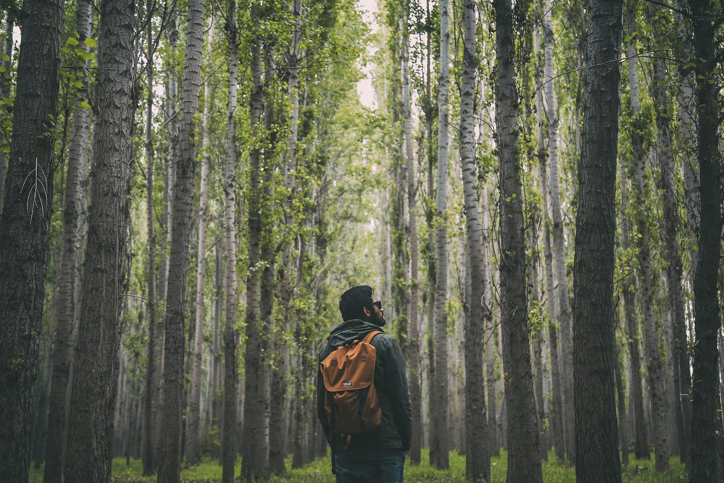 500+ Beautiful Hiking Photos · Pexels · Free Stock Photos 500+ Beautiful Hiking Photos · Pexels · Free Stock Photos