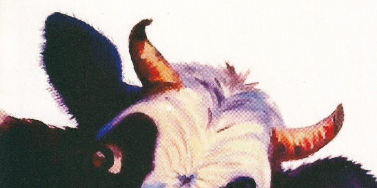 Searching for my library card