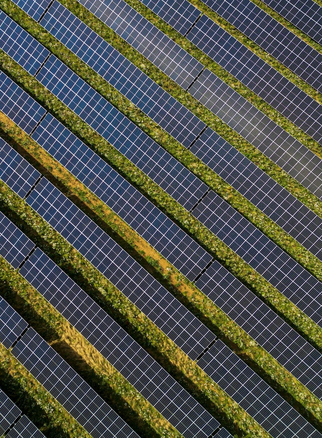 A bird sitting on top of a grass covered field