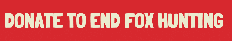 Thankyou for supporting our work to end hunting in the UK Thankyou for supporting our work to end hunting in the UK