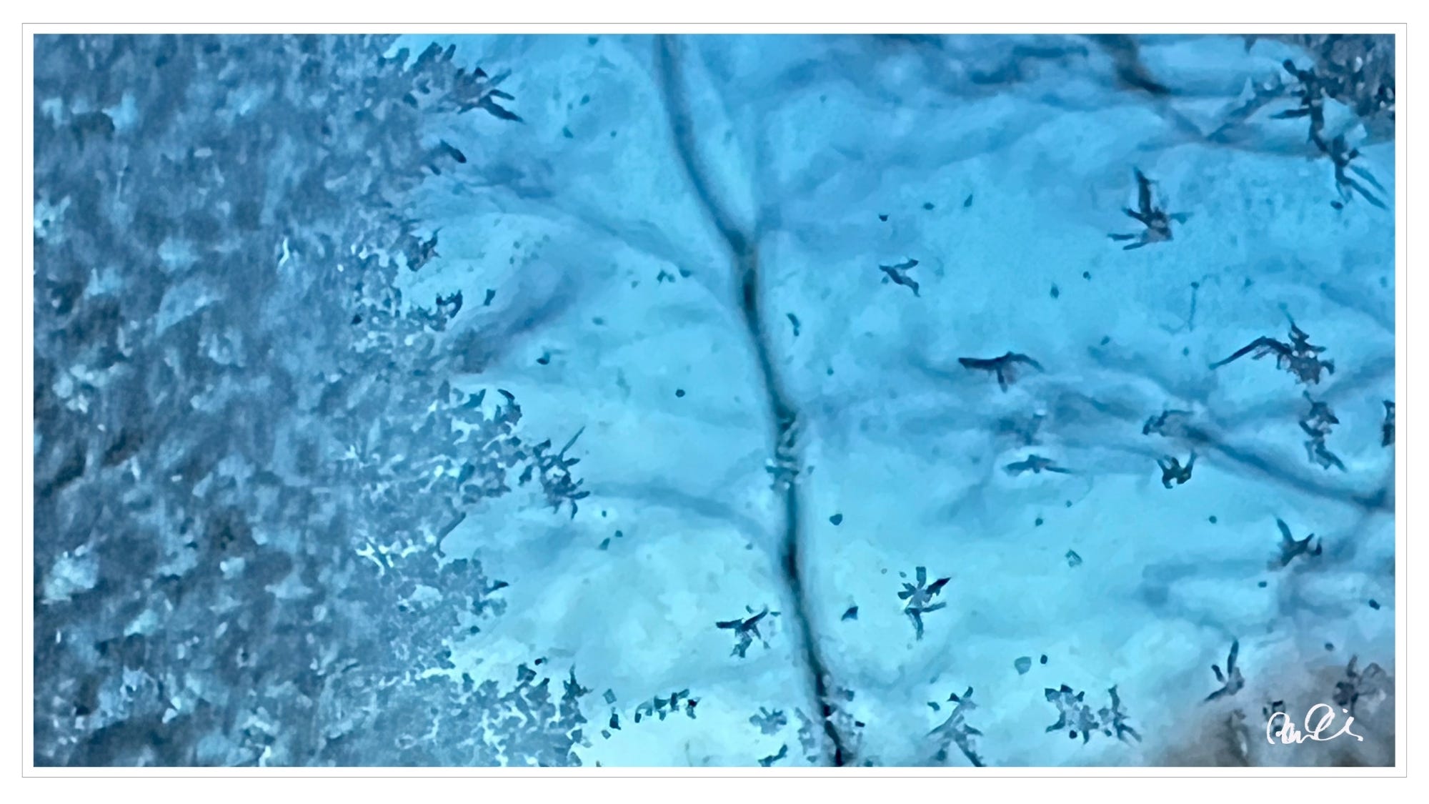 Frost covered window, blue sky, tree in the distance
